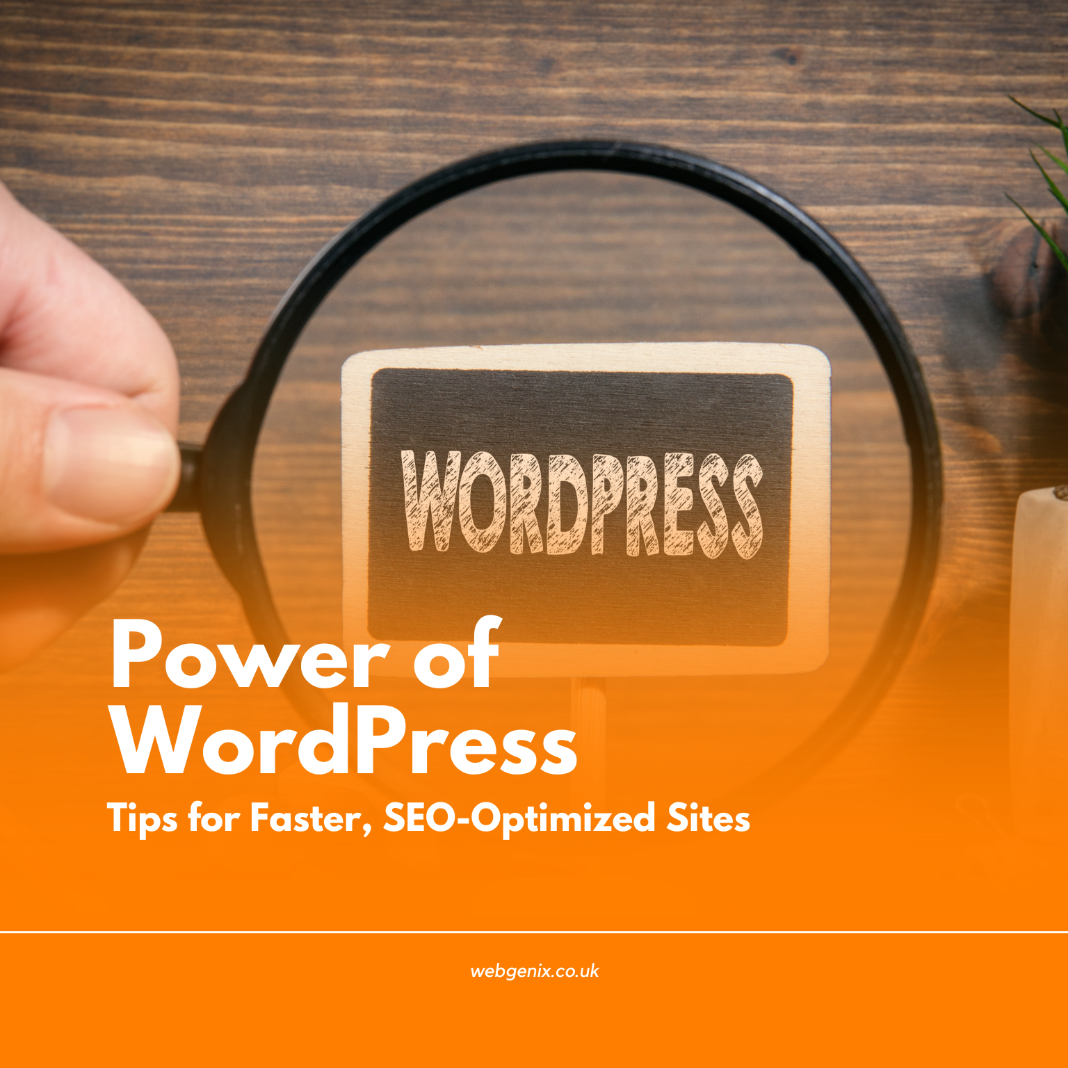 Power of WordPress